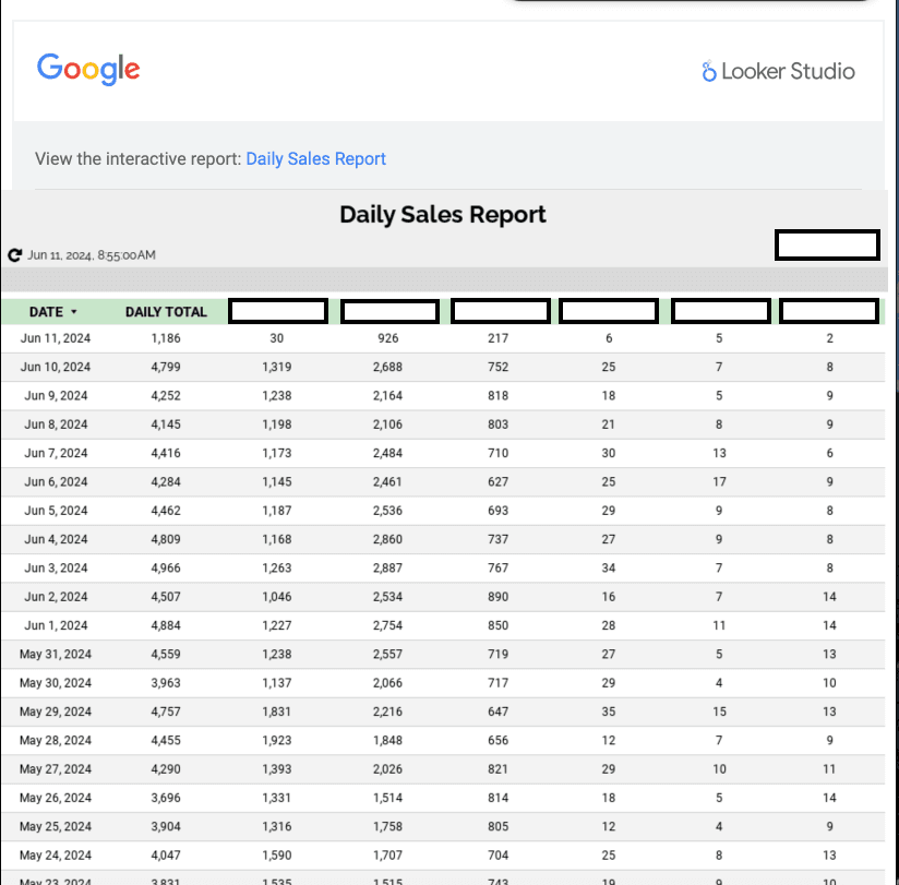 Daily Sales Report
